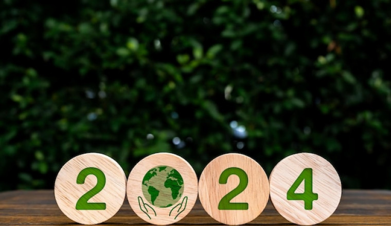 2024 Top Recommended Products That Highly Value Sustainability