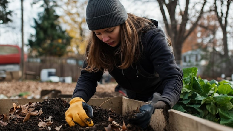 DIY Your Sustainable Garden This Winter